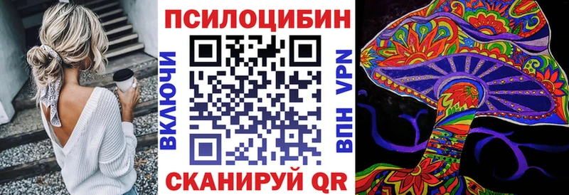 Купить закладки  Павлово  Галлюциногенные грибы Psilocybine cubensis 