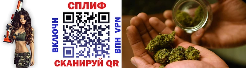 Каннабис SATIVA & INDICA Павлово